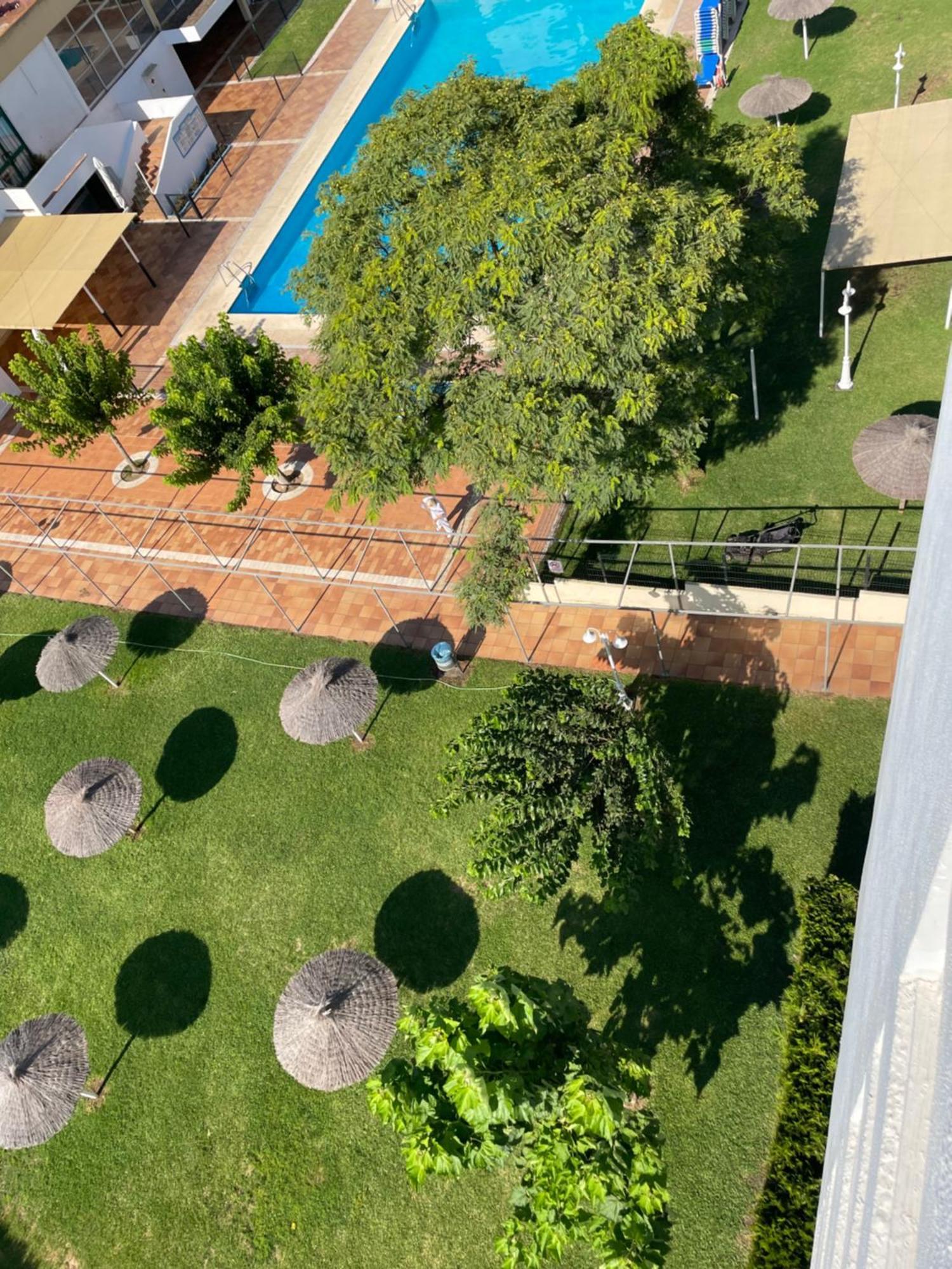 Estudio Apartamento Lalola Matalascañas Buitenkant foto